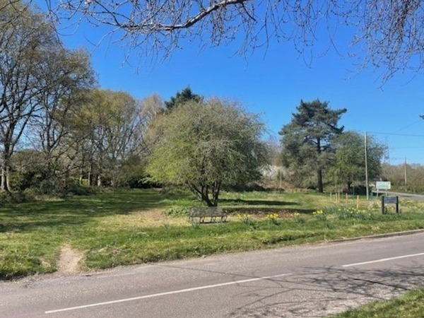 Sandleheath Common