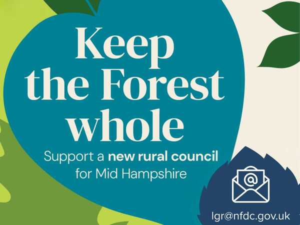 Your Business, Your Voice: Help Shape the Future of the New Forest