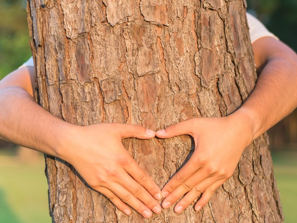 Two hands making a heart shape around a tree